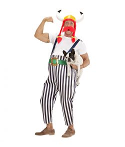 Obelix kostume