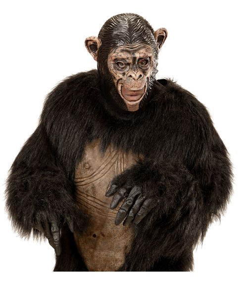 Chimpanse maske