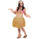 Hawaiian Beauty kostume