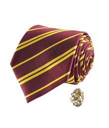 Gryffindor slips med pin, deluxe