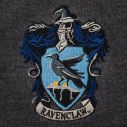 Ravenclaw Sweaters til børn og voksne.