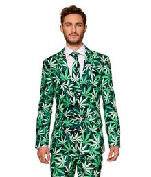 Suitmeister Cannabis