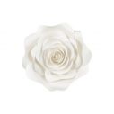 Blomster dekoration Lys creme 5 dele