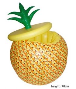 Ananas cooler