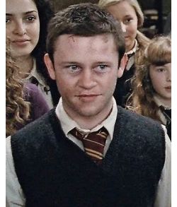 Seamus Finnigan tryllestav Character Wand