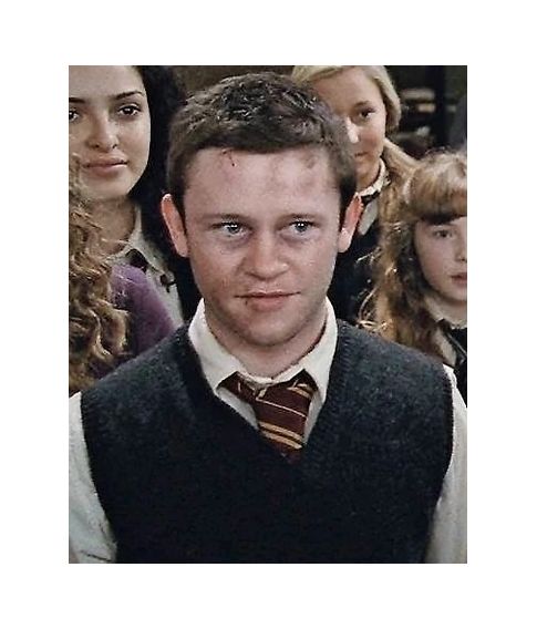 Seamus Finnigan tryllestav Character Wand