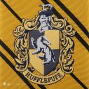 Flot Hufflepuff slips til børn med indvævet våbenskjold.