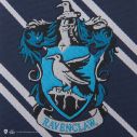 Flot Ravenclaw slips til børn med indvævet våbenskjold. 