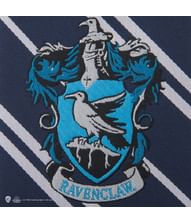 Flot Ravenclaw slips til børn med indvævet våbenskjold. 