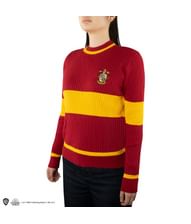 Gryffindor Quidditch sweaters.