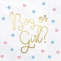 Boy or girl servietter 20 stk