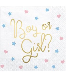 Boy or girl servietter 20 stk