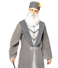 Dumbledore kostume