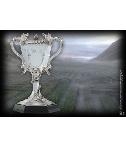 Harry Potter triwizard cup.