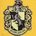 Hufflepuff flag.