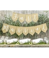 Just Married banner