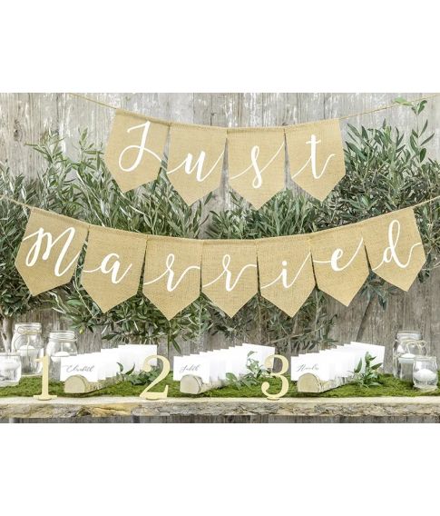 Just Married banner