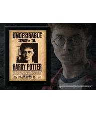 Harry Potter Undesirable No 1 billede