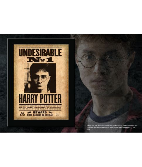 Harry Potter Undesirable No 1 billede