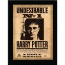 Harry Potter Undesirable No 1 billede