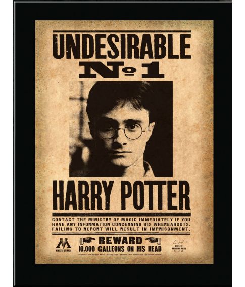 Harry Potter Undesirable No 1 billede