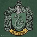 Slytherin vægbanner med broderet våbenskjold.