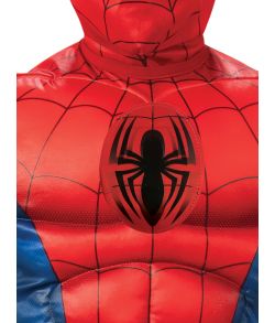 Sejt Spider-man kostume til børn.