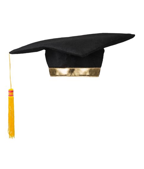 Graduation hat