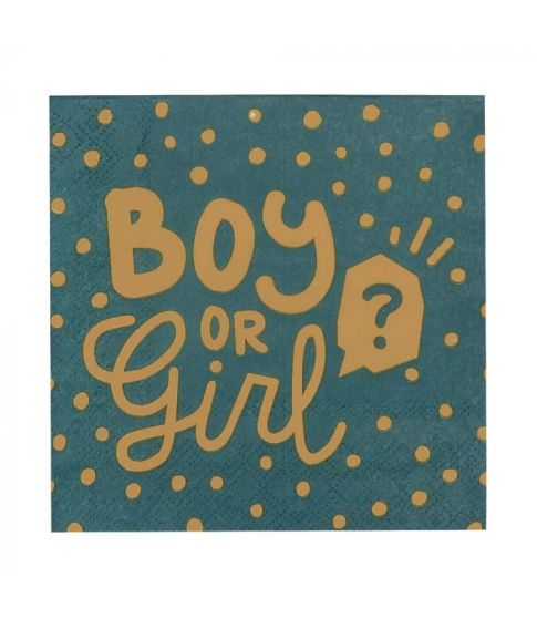 Boy or girl servietter 33x33