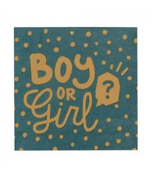 Boy or girl servietter 33x33