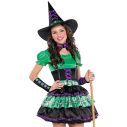 Wicked Cool Witch kostume