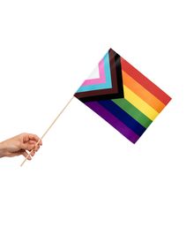 LGBTQ+ flag på pind 20x30 cm