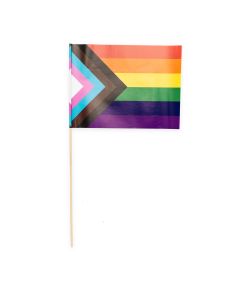 LGBTQ+ flag på pind 20x30 cm