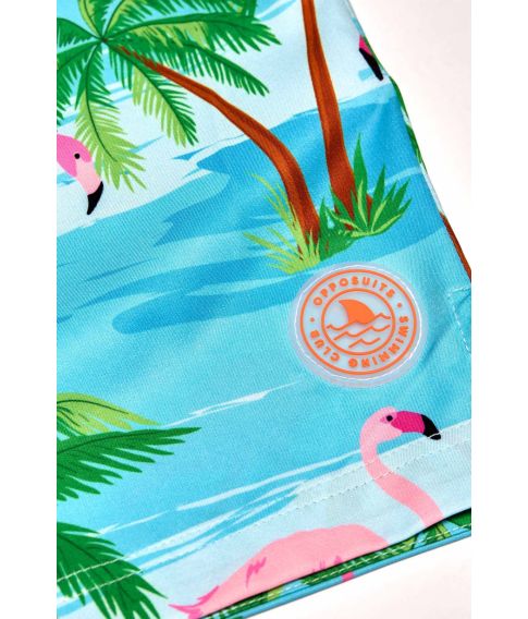 Flamingo badeshorts