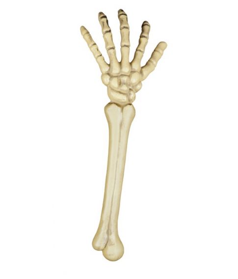 Skeletarm, 46 cm